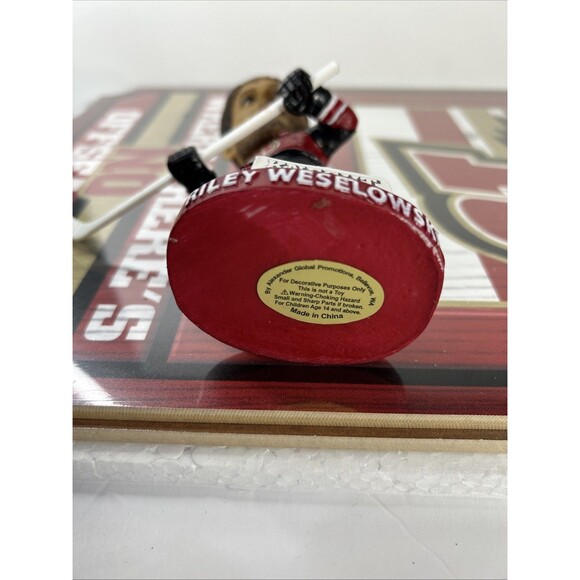 Rapid City Rush Bobblehead Riley Weselowski Minor Hockey New In Box - Picture 3 of 3